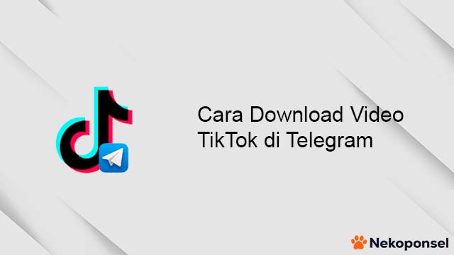 Cara Download Video TikTok di Telegram 1